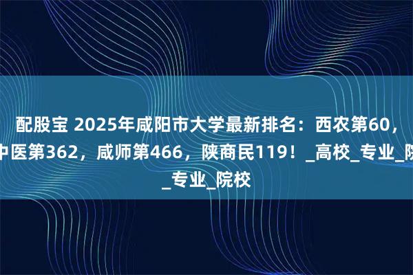 配股宝 2025年咸阳市大学最新排名：西农第60，陕中医第362，咸师第466，陕商民119！_高校_专业_院校