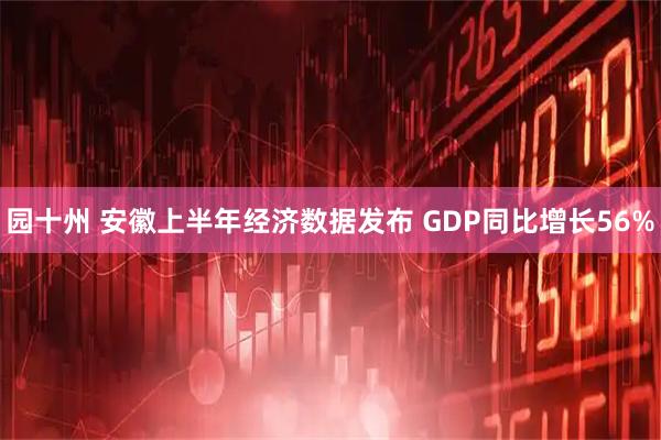园十州 安徽上半年经济数据发布 GDP同比增长56%