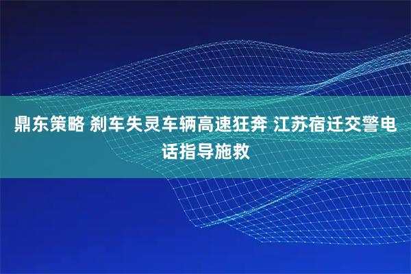 鼎东策略 刹车失灵车辆高速狂奔 江苏宿迁交警电话指导施救
