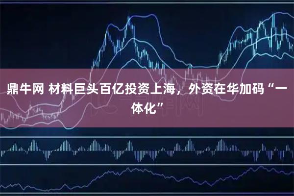 鼎牛网 材料巨头百亿投资上海,外资在华加码“一体化”